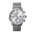 Arctic Silver Chronograph Watch